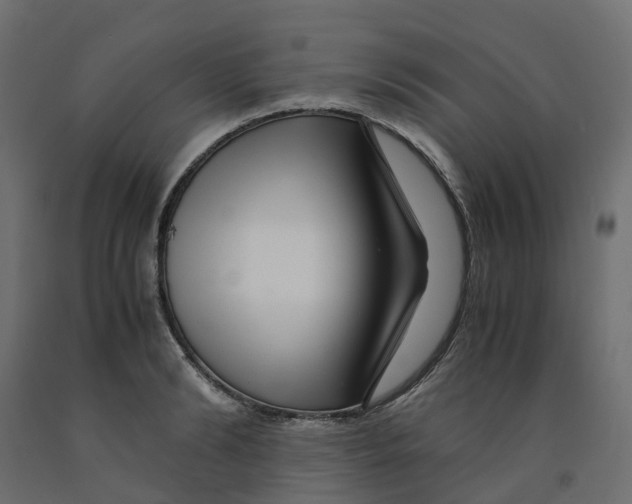 X0000091980894200710041107