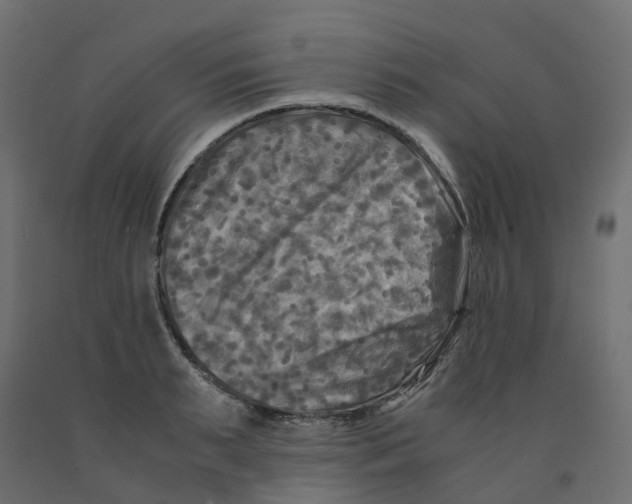 X0000091980895200710041107