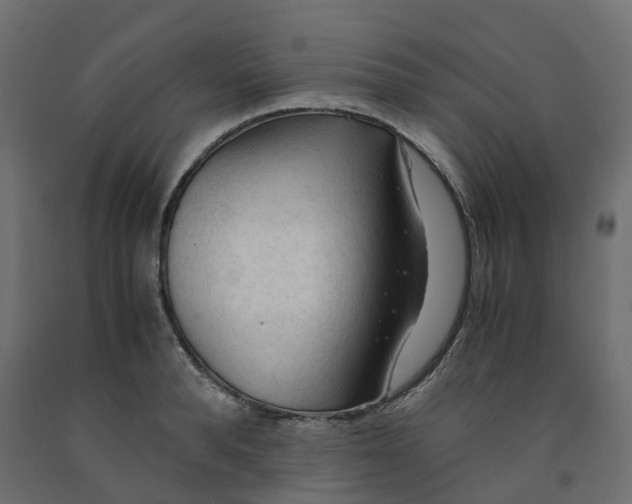 X0000091980896200710041107