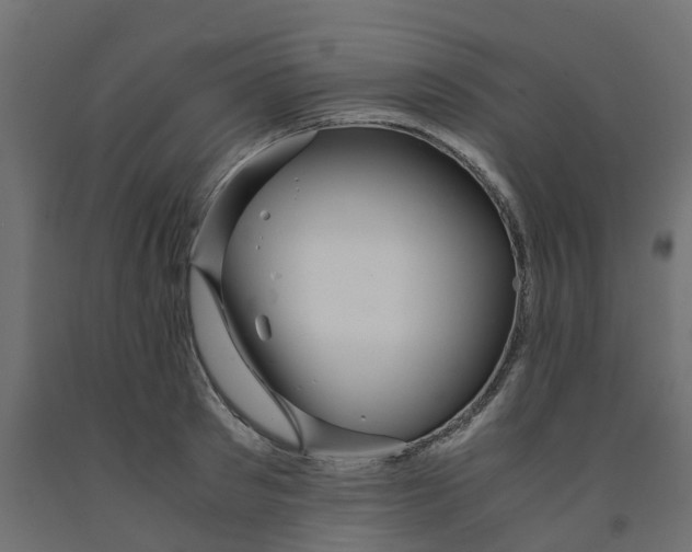 X0000091980897200710041107