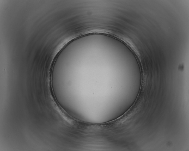 X0000091980898200710041107