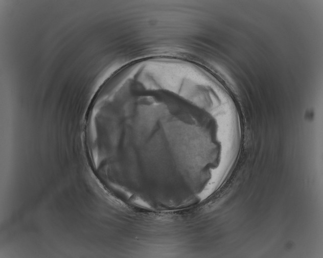 X0000091980899200710041107