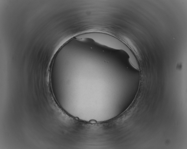 X0000091980900200710041107