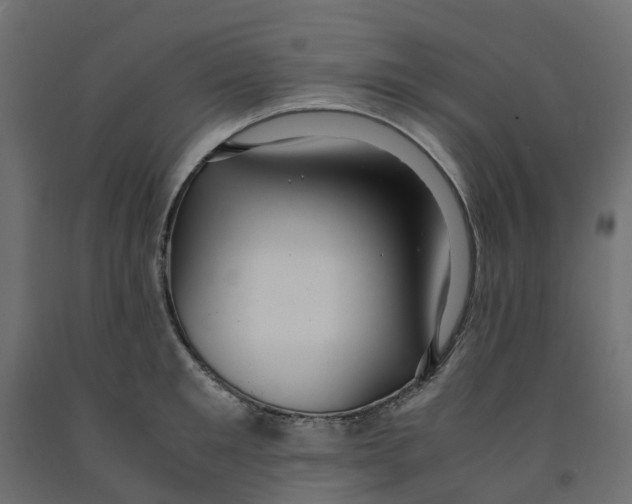 X0000091980901200710041107
