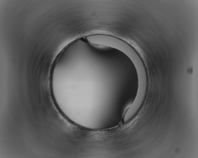 X0000091980902200710041107