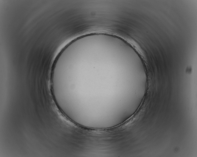 X0000091980904200710041107