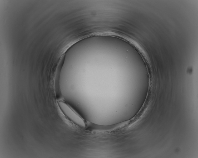X0000091980905200710041107