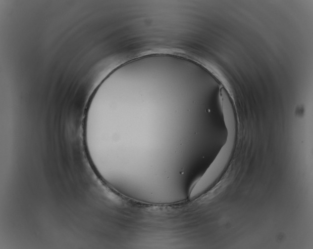 X0000091980906200710041107