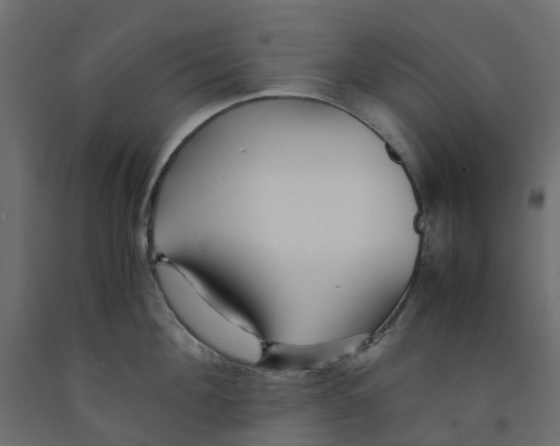 X0000091980908200710041107