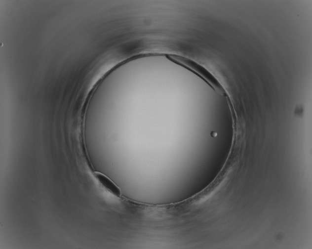 X0000091980909200710041107