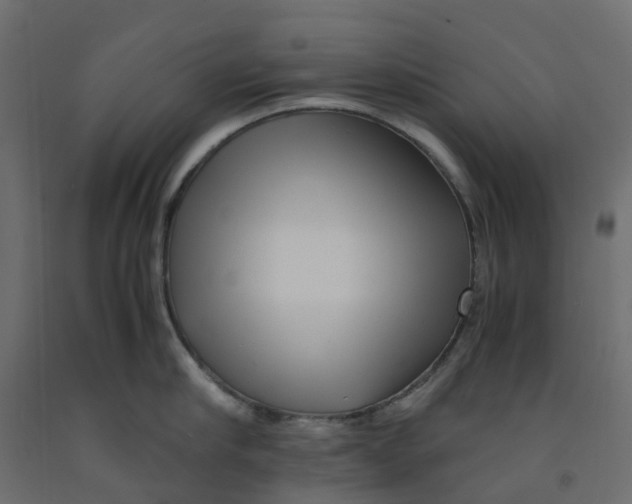 X0000091980910200710041107