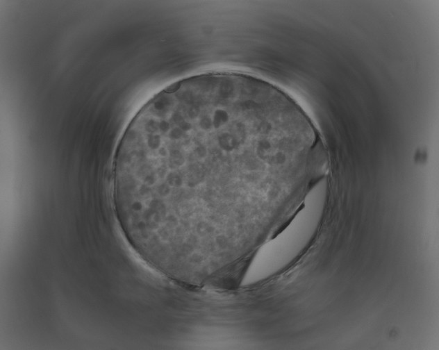 X0000091980911200710041107