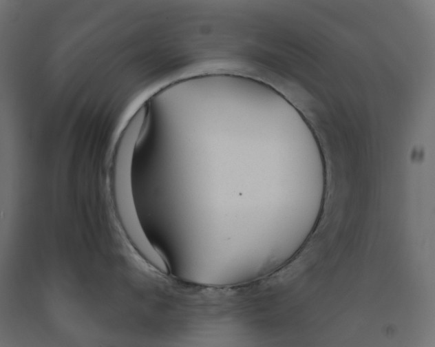 X0000091980912200710041107
