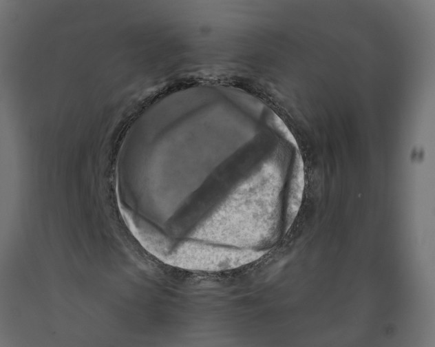 X0000091980913200710041106