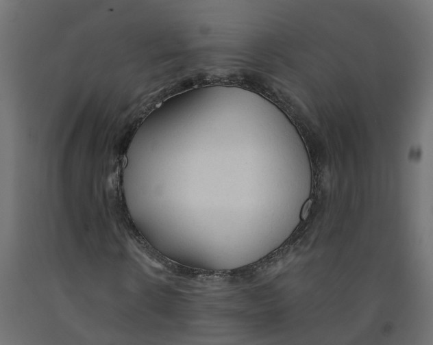 X0000091980914200710041106