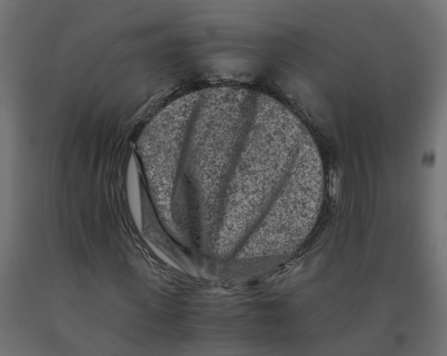 X0000091980915200710041106