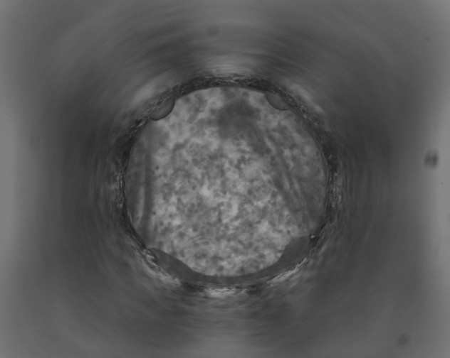 X0000091980917200710041107