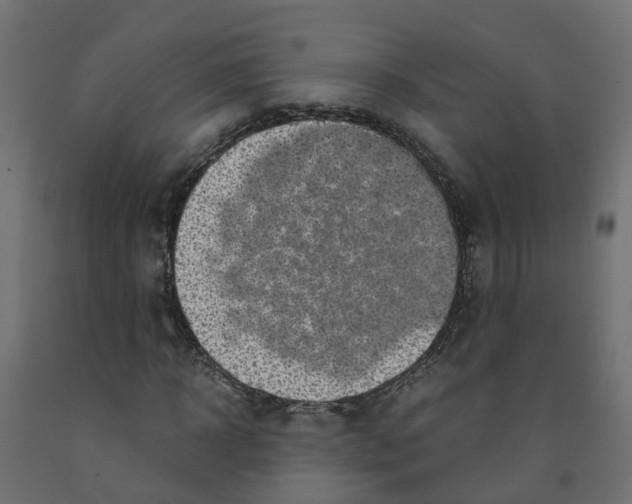 X0000091980918200710041107