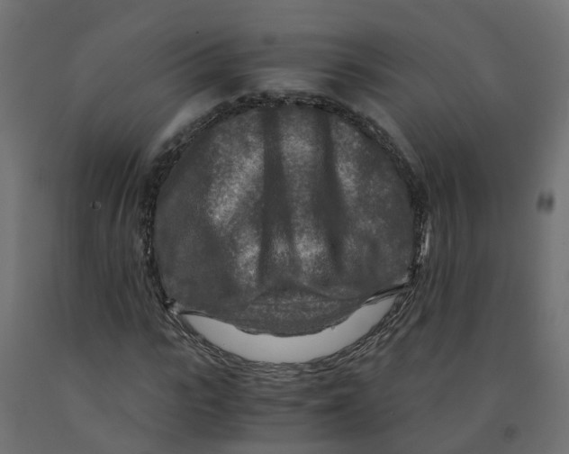 X0000091980919200710041107