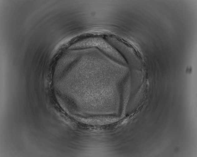 X0000091980920200710041107