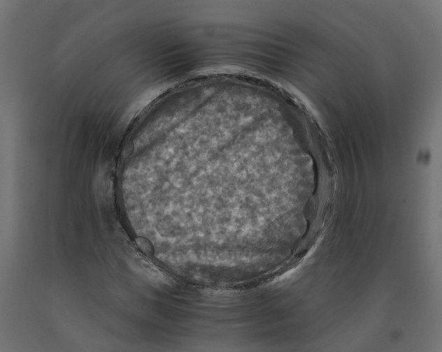X0000091980921200710041107