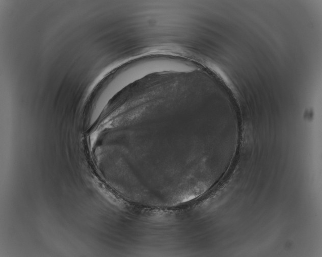 X0000091980923200710041107