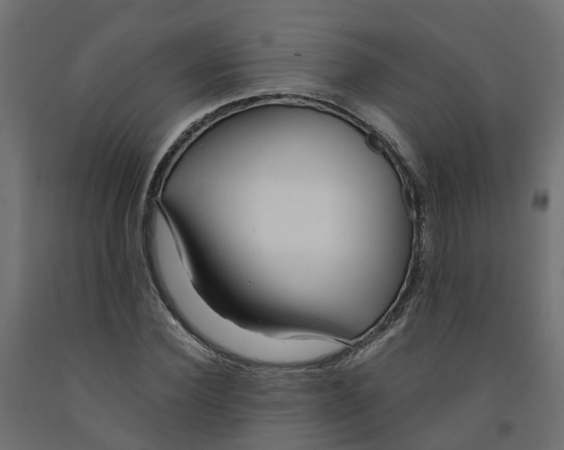 X0000091980924200710041107
