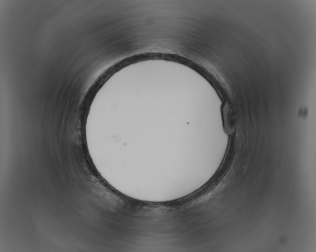 X0000091980926200710041107