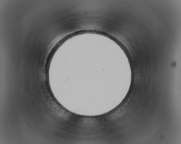 X0000091980927200710041107