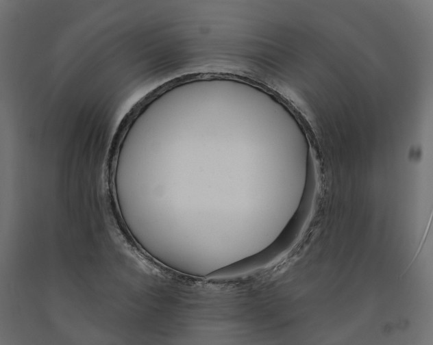 X0000091980928200710041107
