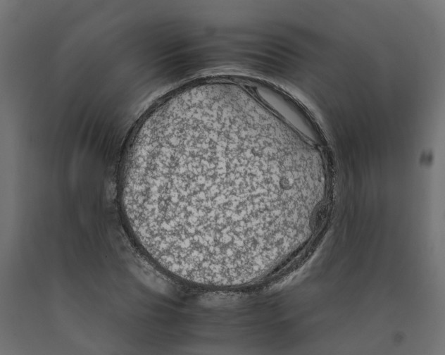 X0000091980929200710041107