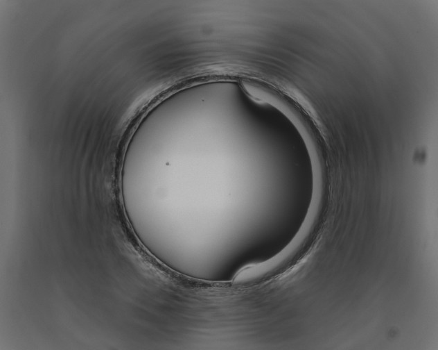 X0000091980930200710041107