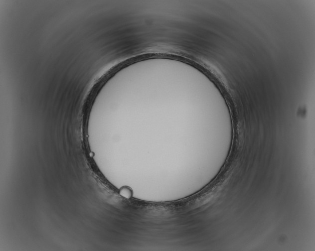 X0000091980931200710041107