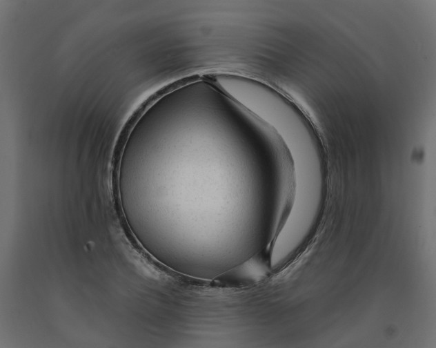 X0000091980932200710041107