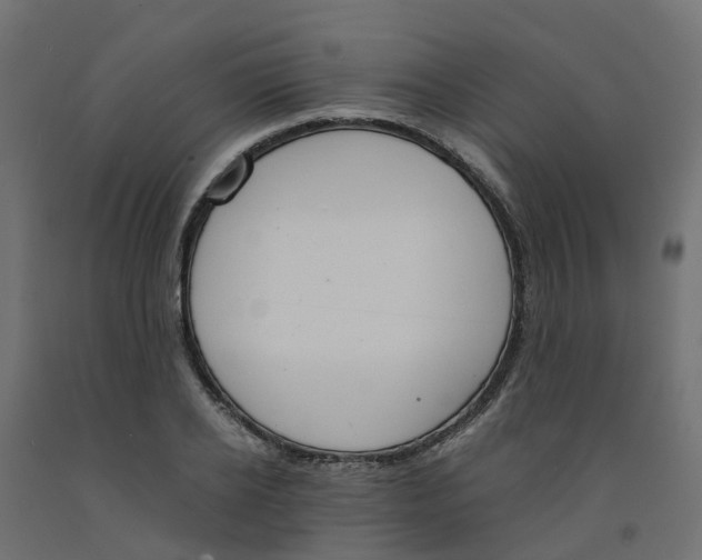 X0000091980934200710041107