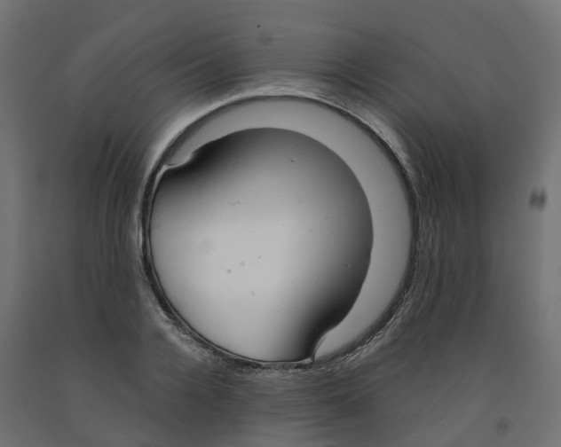 X0000091980936200710041107