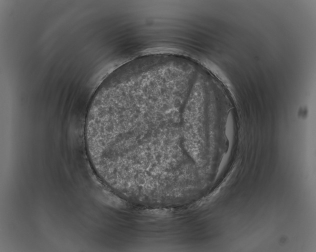 X0000091980937200710041107