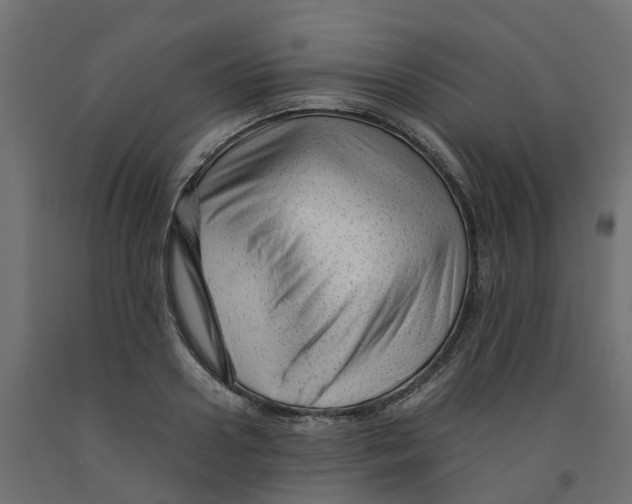X0000091980938200710041107