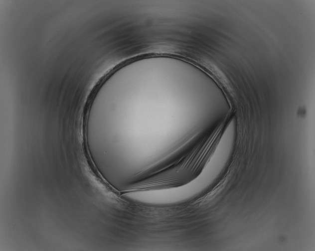 X0000091980939200710041107