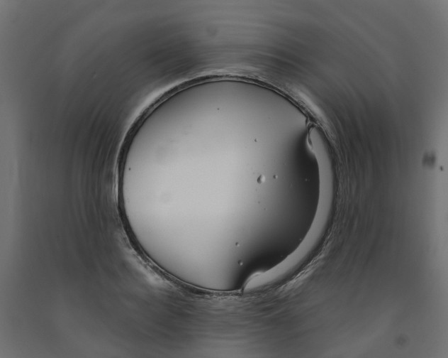 X0000091980940200710041107
