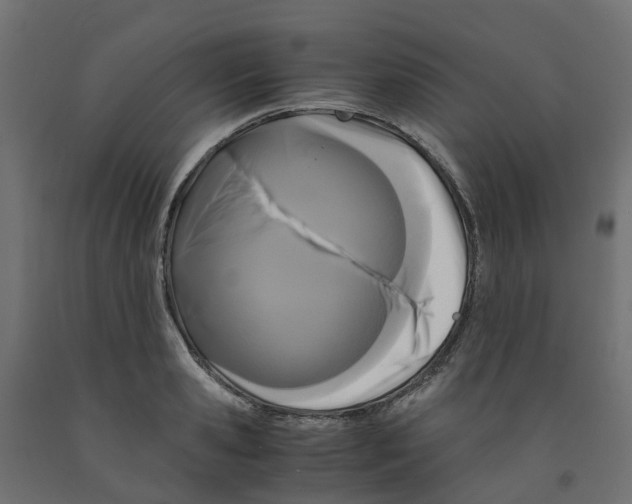 X0000091980941200710041107