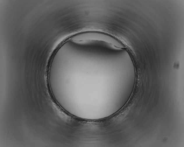 X0000091980942200710041107