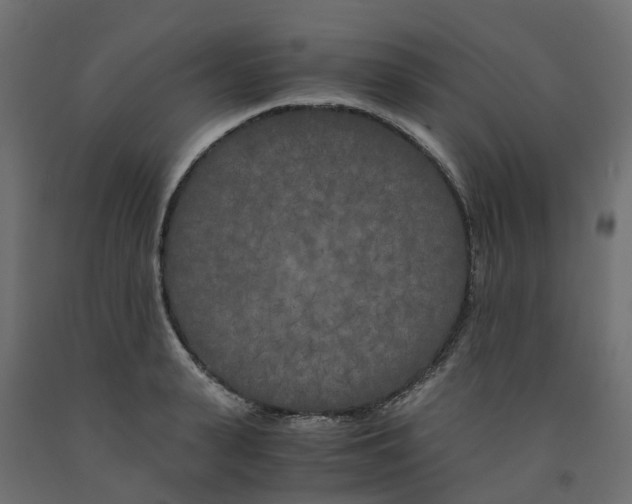 X0000091980943200710041107