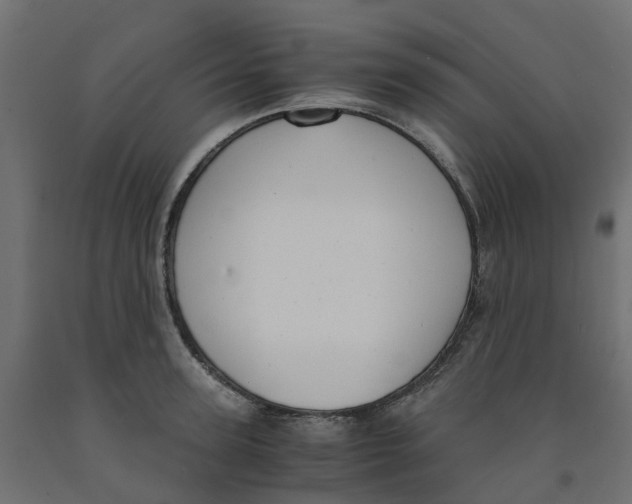 X0000091980947200710041107
