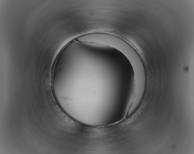 X0000091980948200710041107