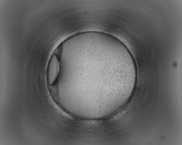 X0000091980949200710041107