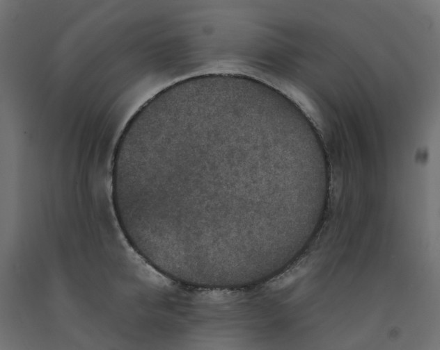 X0000091980950200710041107