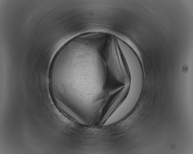 X0000091980951200710041107