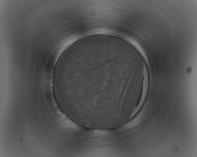 X0000091980954200710041107