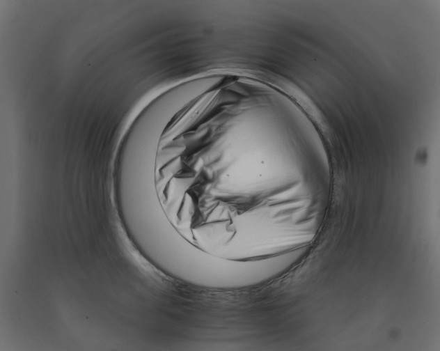 X0000091980955200710041107